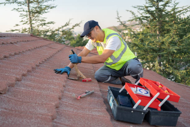 Best Storm Damage Roof Repair  in Bicknell, IN